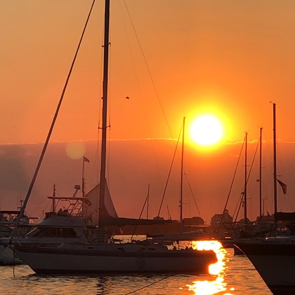 Hi! - Picture 10 of 10